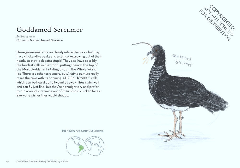 The Field Guide to Dumb Birds of the Whole Stupid World