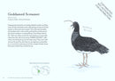 The Field Guide to Dumb Birds of the Whole Stupid World