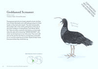 The Field Guide to Dumb Birds of the Whole Stupid World