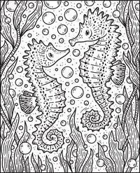 Narwhals and Other Sea Creatures Magic Painting Book
