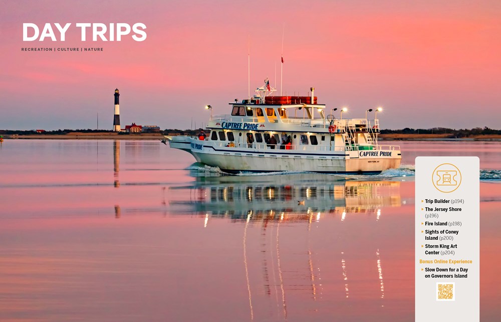 Lonely Planet Experience New York City