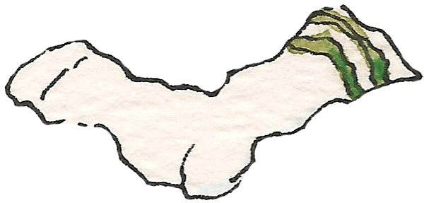 The Growing Up Book for Boys