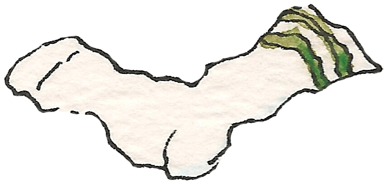 The Growing Up Book for Boys