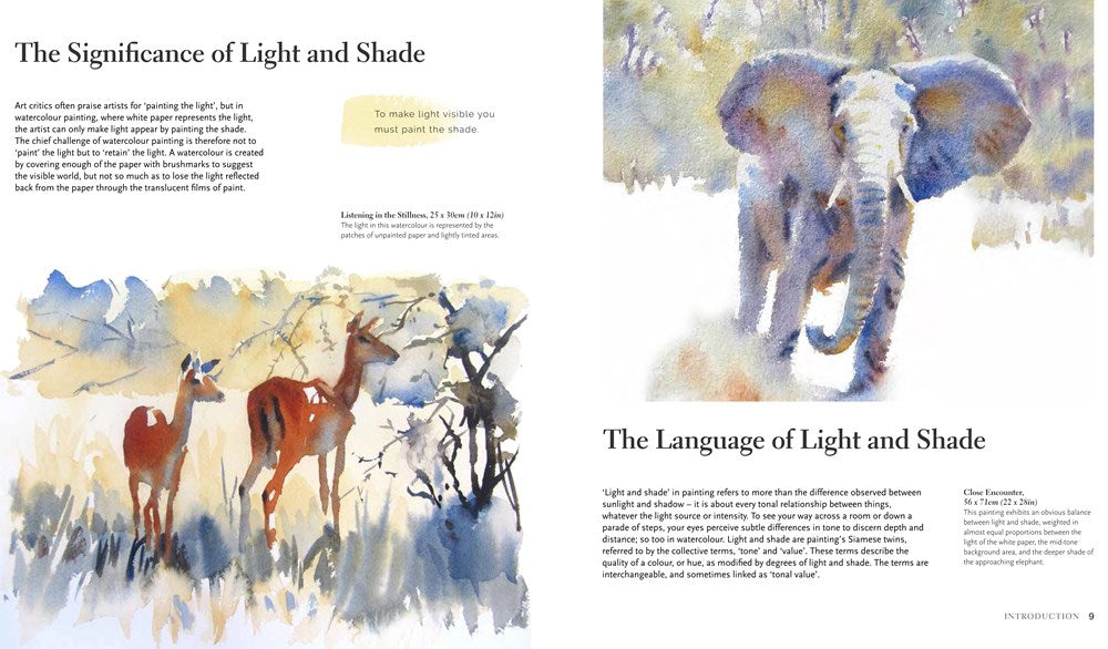 Light and Shade in Watercolour