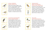 Match a Pair of Birds