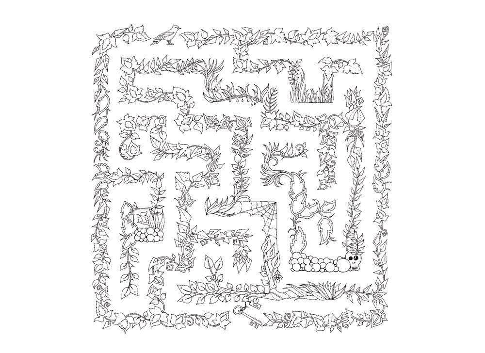 Enchanted Forest Postcards