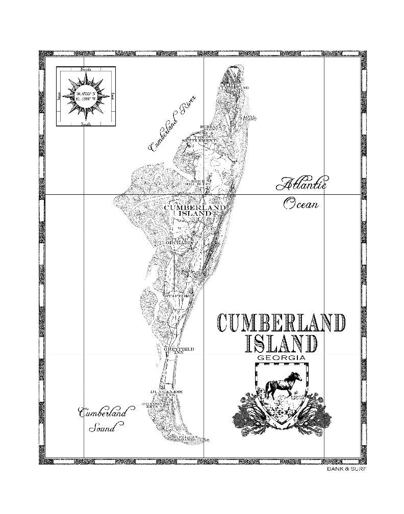 Wild Horses of Cumberland Island