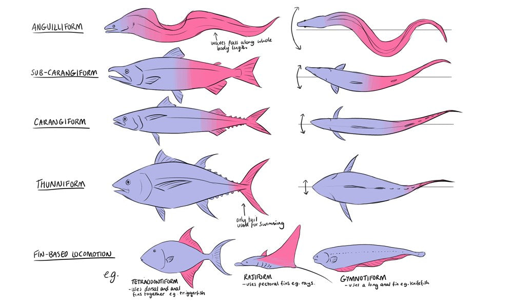Fundamentals of Creature Design