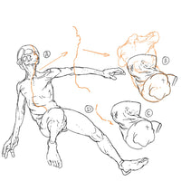 Anatomy for Artists: Drawing Form & Pose : The ultimate guide to drawing anatomy in perspective and pose with tomfoxdraws