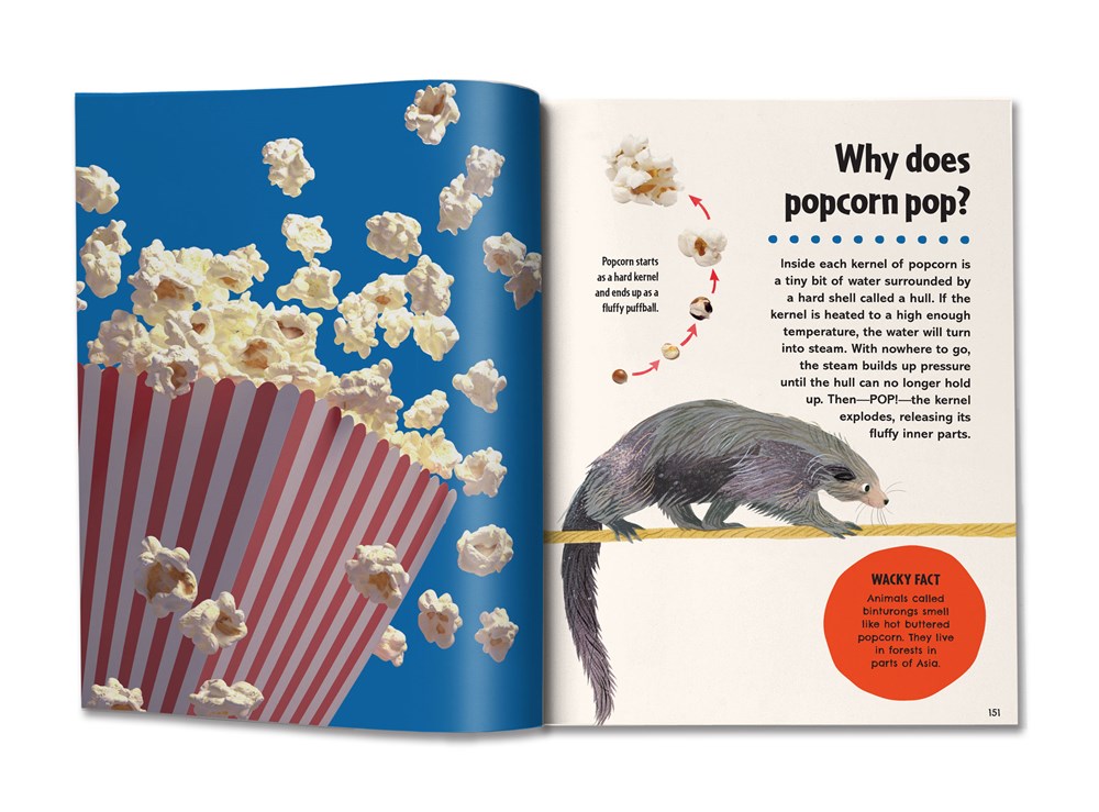 Britannica's First Big Book of Why: Why can't penguins fly? Why do we brush our teeth? Why does popcorn pop? The ultimate book of answers for kids who need to know WHY!