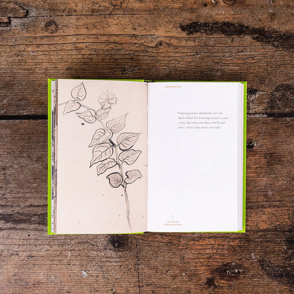 The Healing Power of Nature: Vincent van Gogh