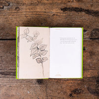 The Healing Power of Nature: Vincent van Gogh