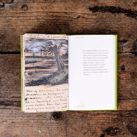 The Healing Power of Nature: Vincent van Gogh