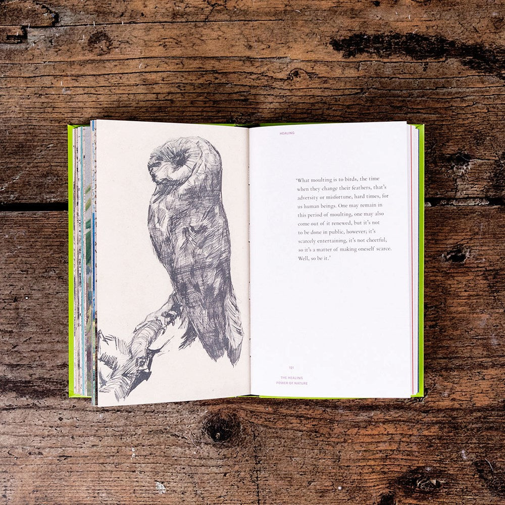 The Healing Power of Nature: Vincent van Gogh