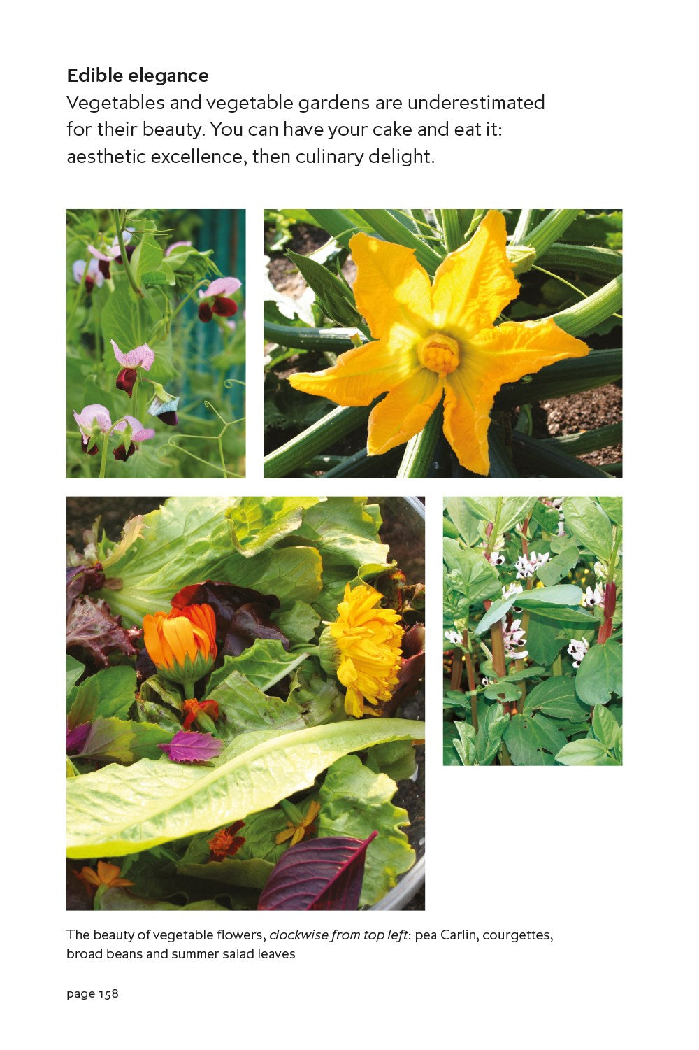 Charles Dowding's Vegetable Garden Diary