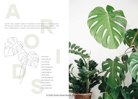 Plantopedia: The Definitive Guide to Houseplants
