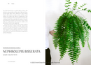 Plantopedia: The Definitive Guide to Houseplants