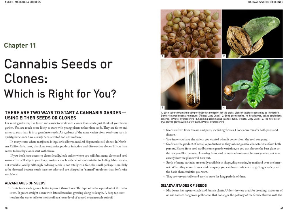 Ask Ed: Marijuana Success