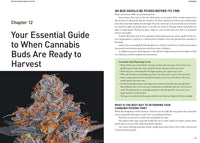 Ask Ed: Marijuana Success