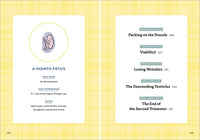 We're Pregnant! The First Time Dad's Pregnancy Handbook