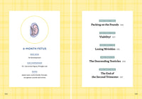 We're Pregnant! The First Time Dad's Pregnancy Handbook