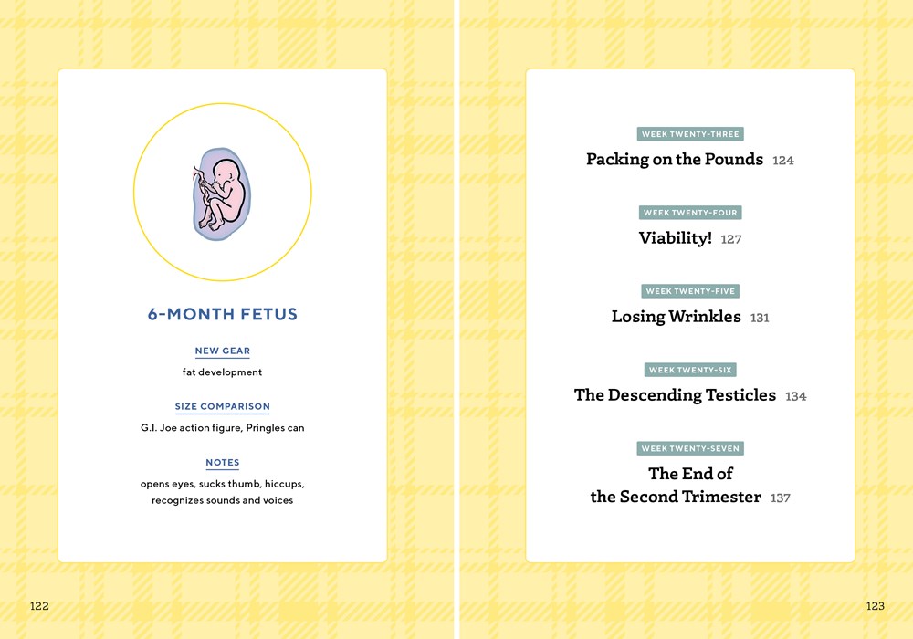 We're Pregnant! The First Time Dad's Pregnancy Handbook