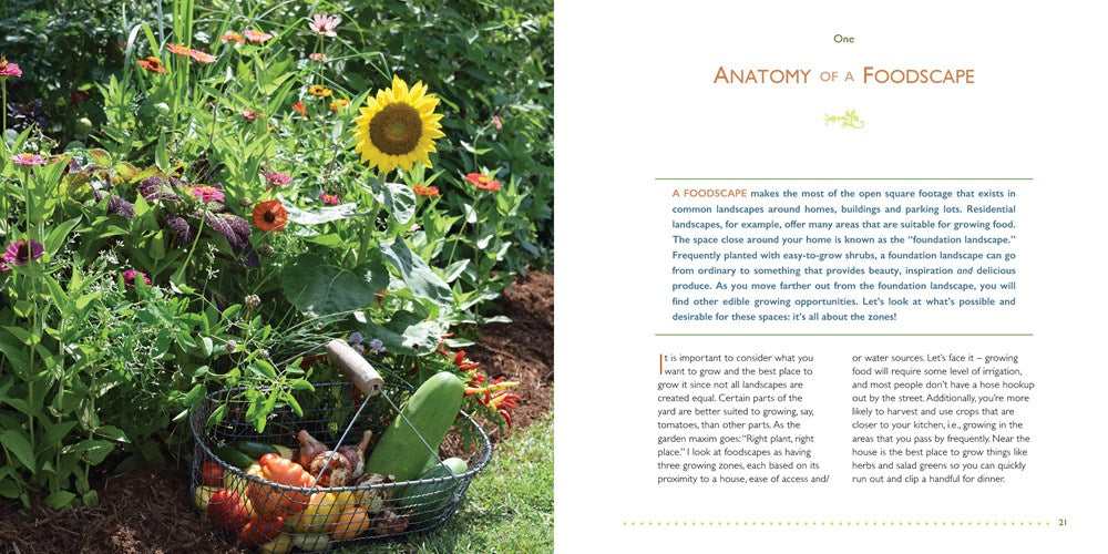 The Foodscape Revolution