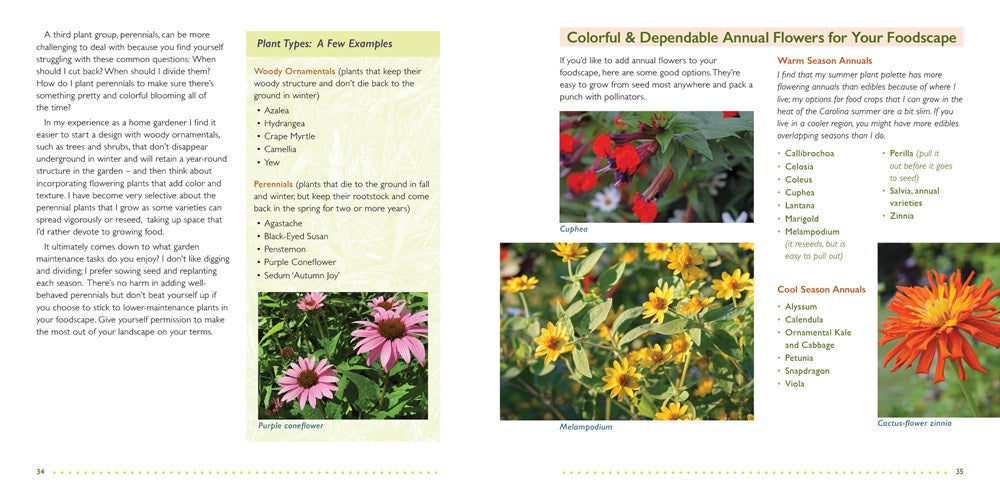 The Foodscape Revolution