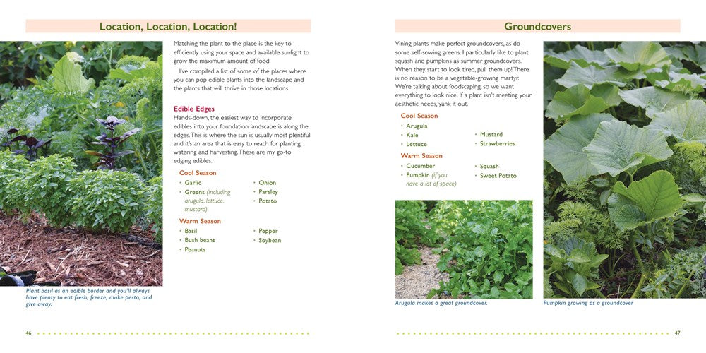 The Foodscape Revolution