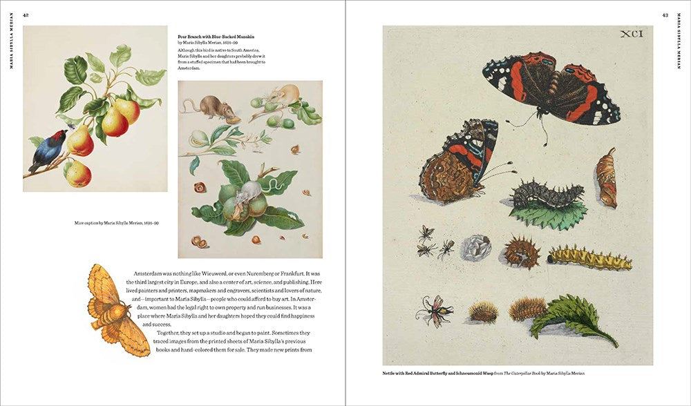 Maria Sibylla Merian