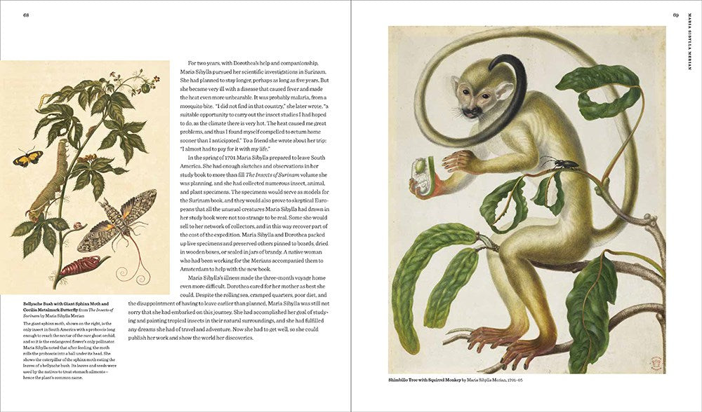 Maria Sibylla Merian