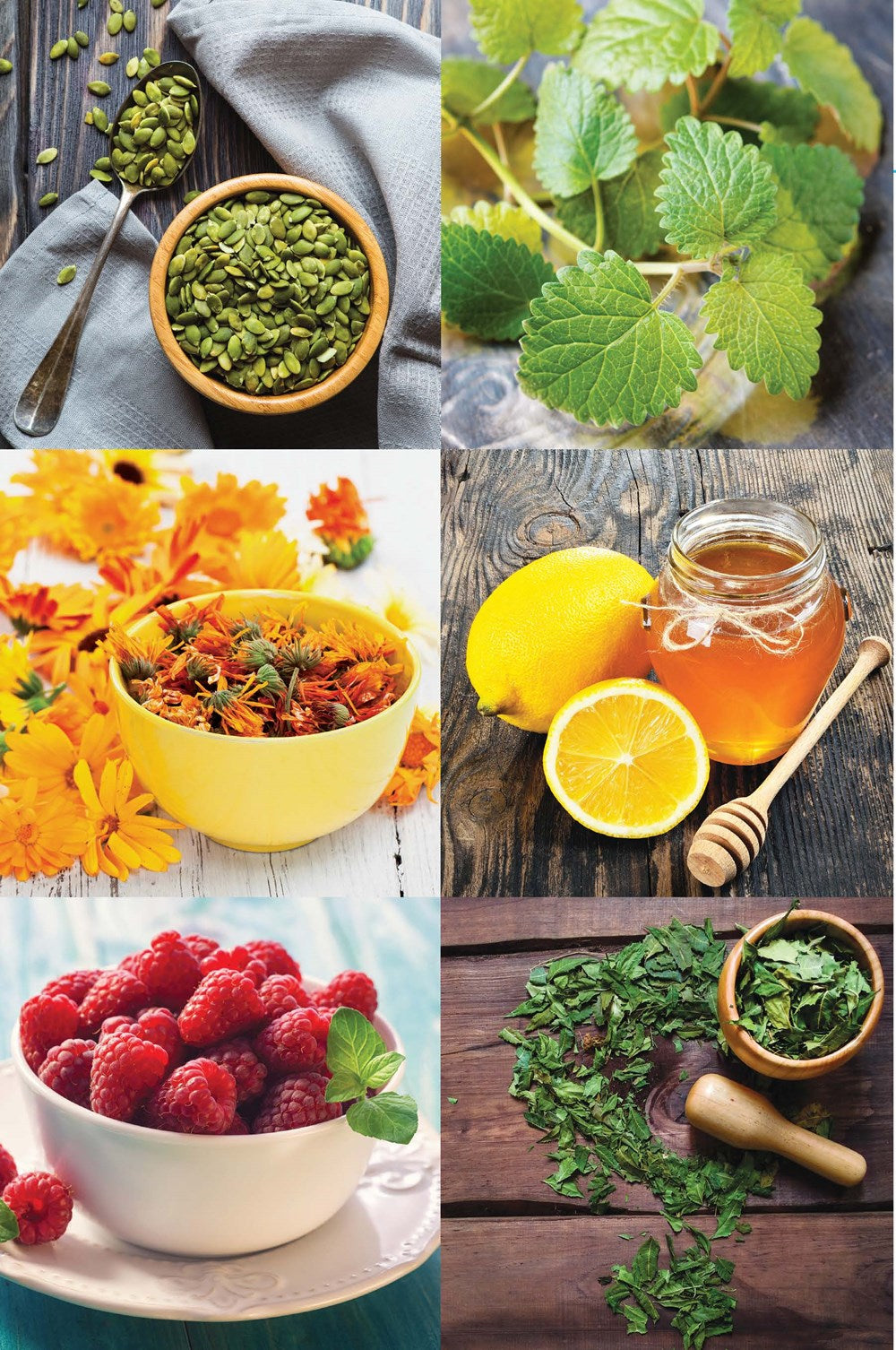 Santo remedio ilustrado y a color / Doctor Juan's Top Home Remedies. Illustrated and Full Color Edition