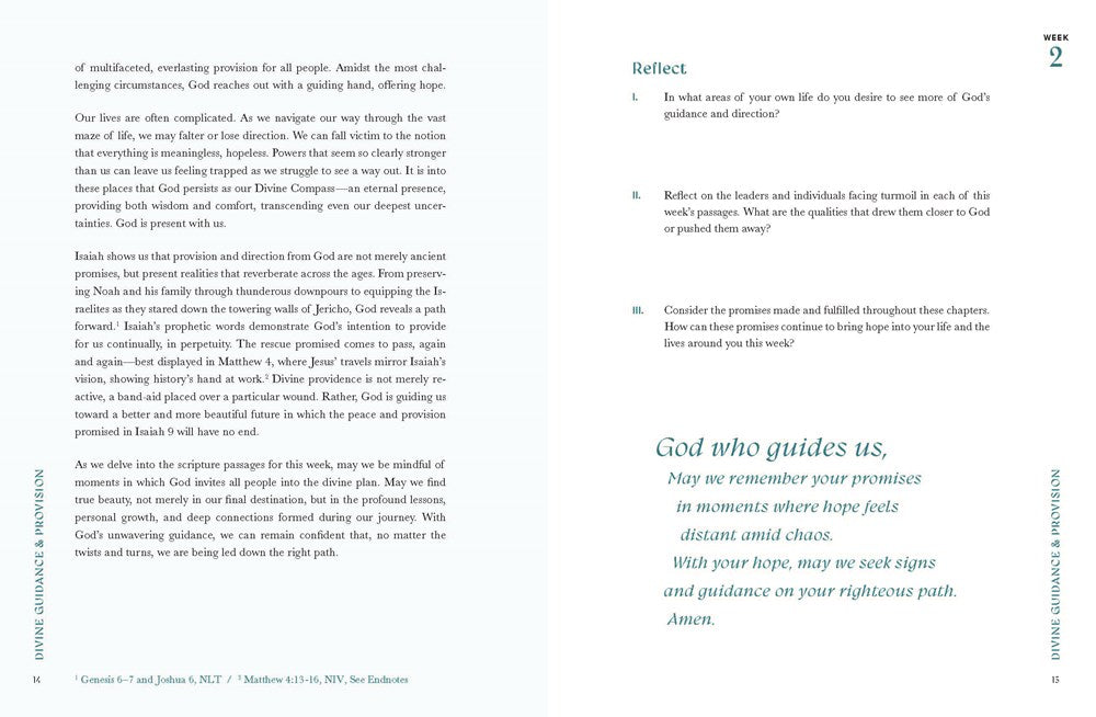 Beautiful Year in the Bible: The 52-Week Bible Study for Women (SC)