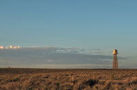 Sandy Sugawara and Catiana Garcia-Kilroy: Show Me the Way to Go to Home