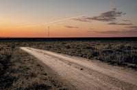 Sandy Sugawara and Catiana Garcia-Kilroy: Show Me the Way to Go to Home