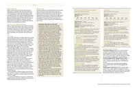 The Game Master’s Book of Villains, Minions and Their Tactics: Epic new antagonists for your PCs, plus new minions, fighting tactics, and guidelines for creating original BBEGs for 5th Edition RPG adventures