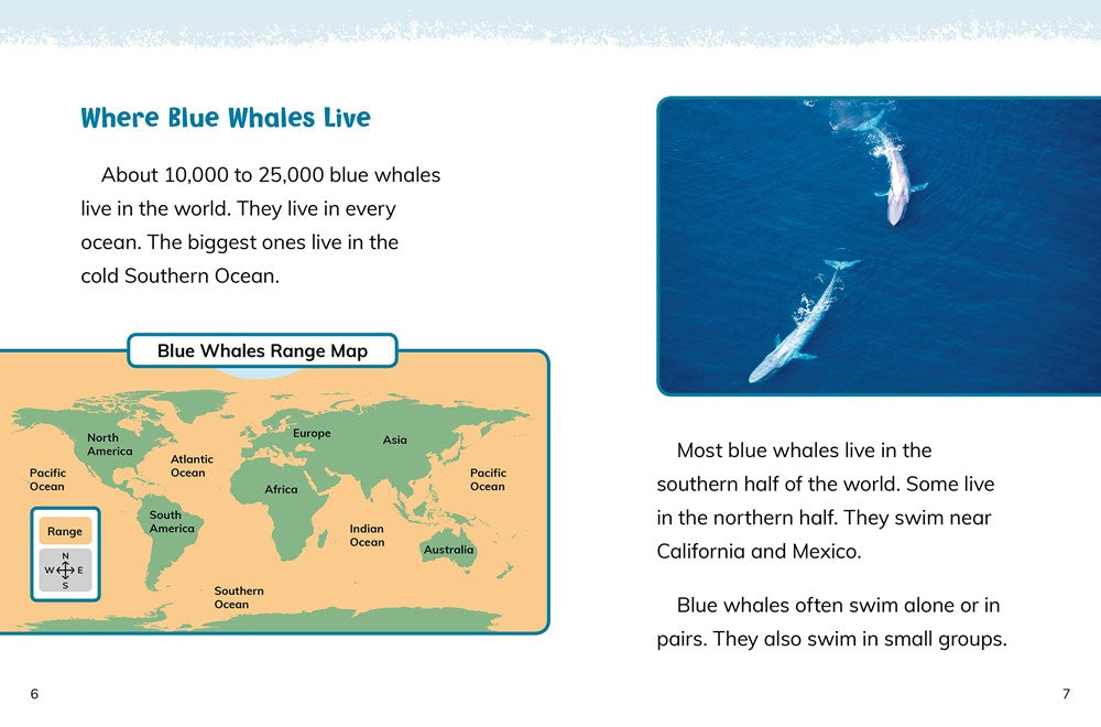 Blue Whales