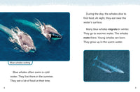 Blue Whales