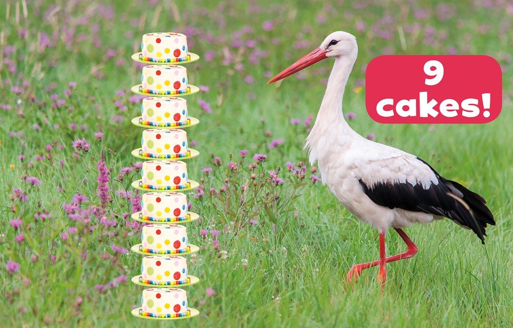 How Many Flamingos Tall Is a Giraffe?