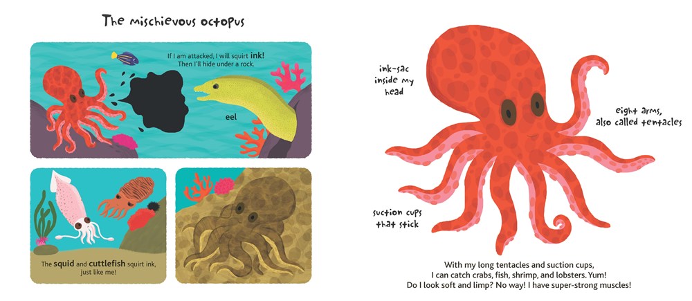 Touch and Explore: The Ocean