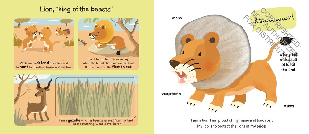 Touch and Explore: Safari