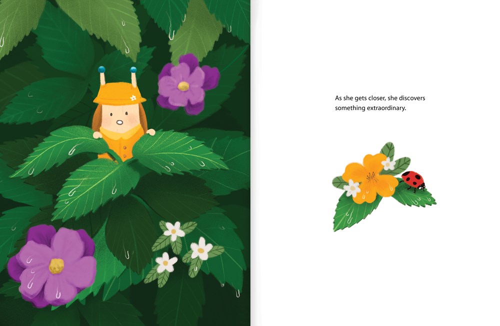 A Picnic in the Rain