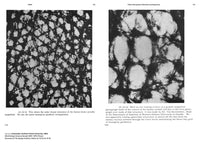 R. Buckminster Fuller: Pattern-Thinking