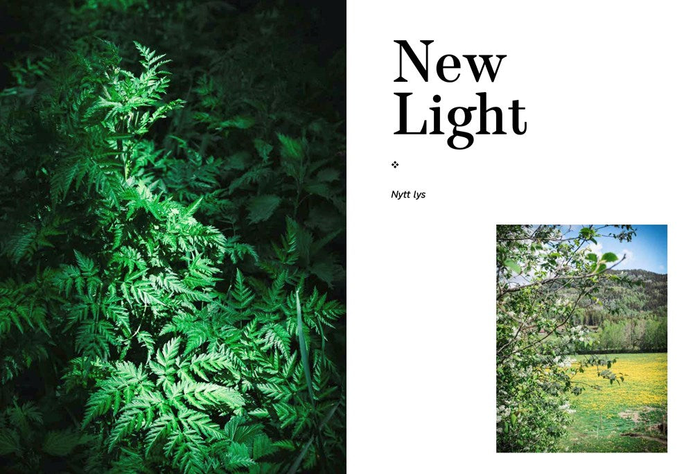 Norwegian Baking through the Seasons: 90 Sweet and Savoury Recipes from North Wild Kitchen