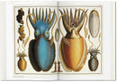 Seba. Cabinet of Natural Curiosities