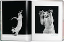 Walter Chandoha. Cats. Photographs 1942-2018