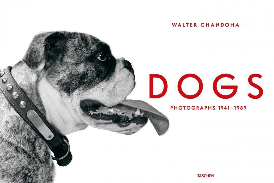 Walter Chandoha. Dogs. Photographs 1941-1991
