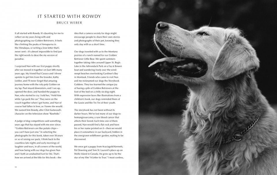 Bruce Weber. The Golden Retriever Photographic Society