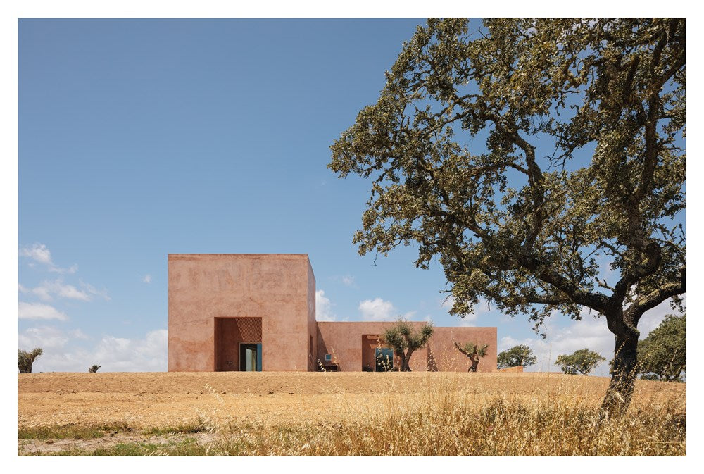 The Mediterranean Home