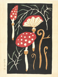 Mushroom Postcards
